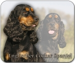 Mousepad Englischer Cocker Spaniel